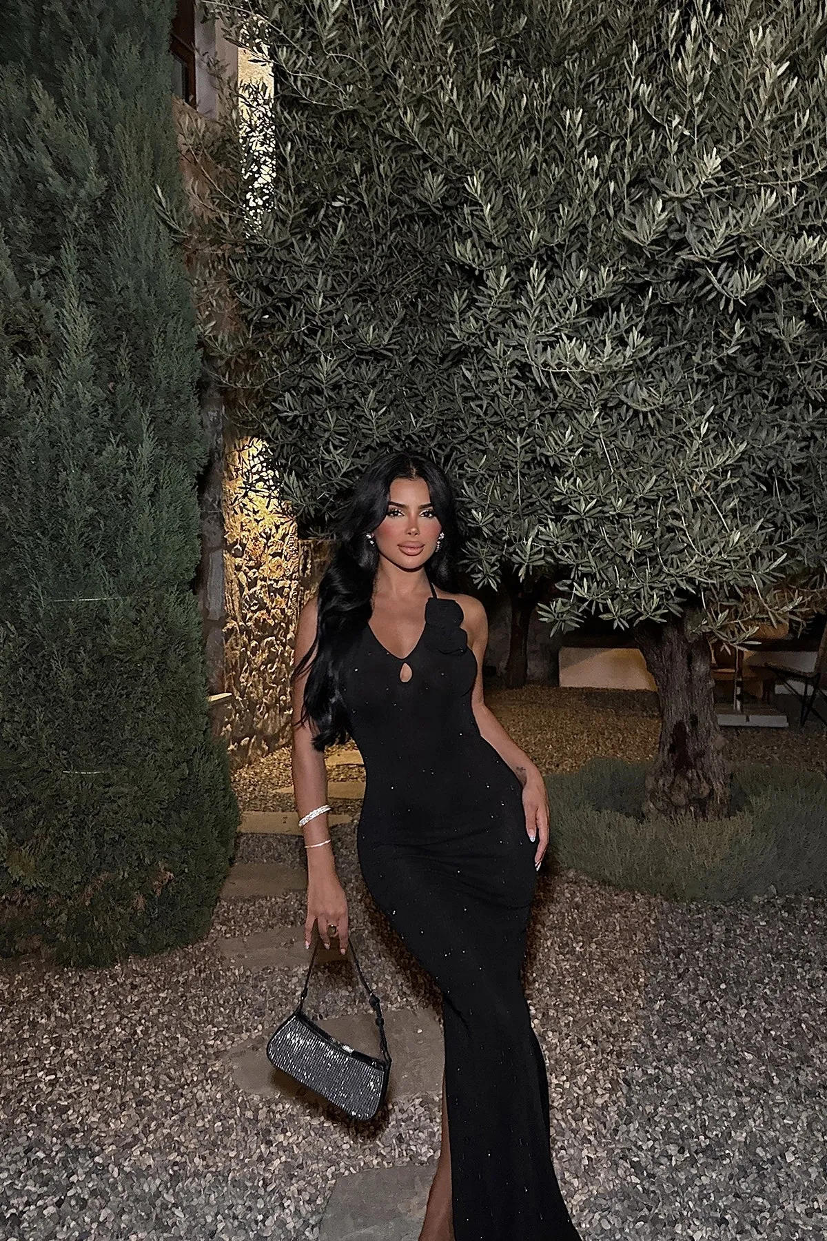 EYY Women Black Rose Detail Dress - Des Plaines